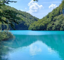 Excursion privée d’une journée aux lacs de Plitvice avec déjeuner local